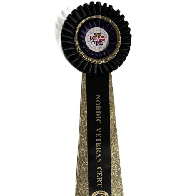 Hovedbilde Nordic veteran cert rosett
