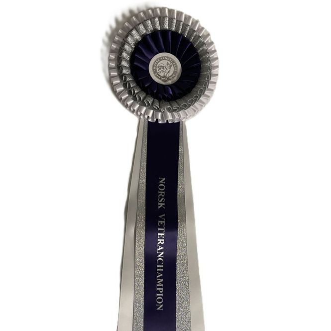 Hovedbilde Norsk veteranchampion rosett
