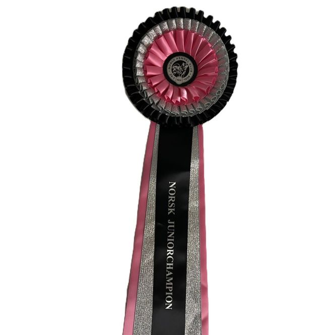 Hovedbilde Norsk juniorchampion rosett